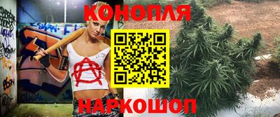 наркотики Камышлов