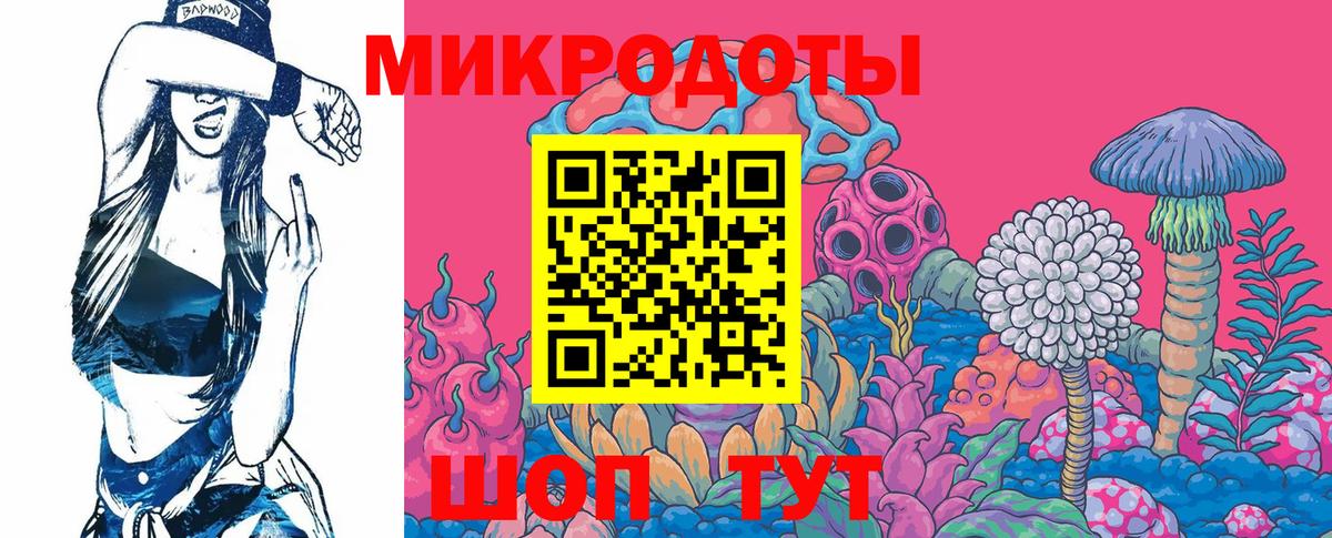 Псилоцибиновые грибы Psilocybine cubensis Кимры