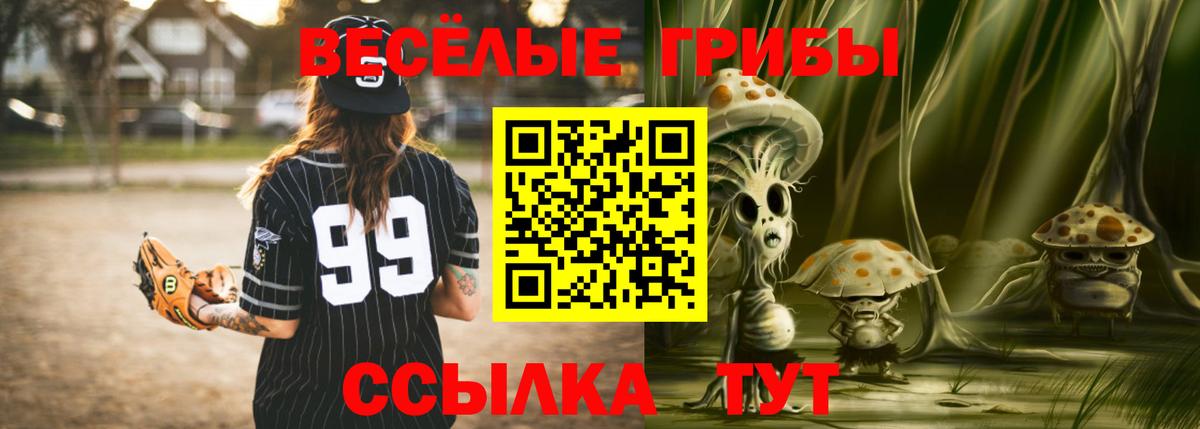 Псилоцибиновые грибы Psilocybine cubensis  Вход с VPN  Галлюциногенные грибы мицелий  Кимры 